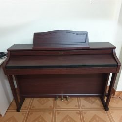 Dan Piano Roland Hp505gp