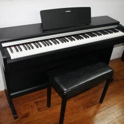 Dan Piano Yamaha Ydp 142
